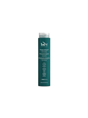 IG0031 IG TREATING RECONSTRUCTION SHAMPOO 250 ML-1